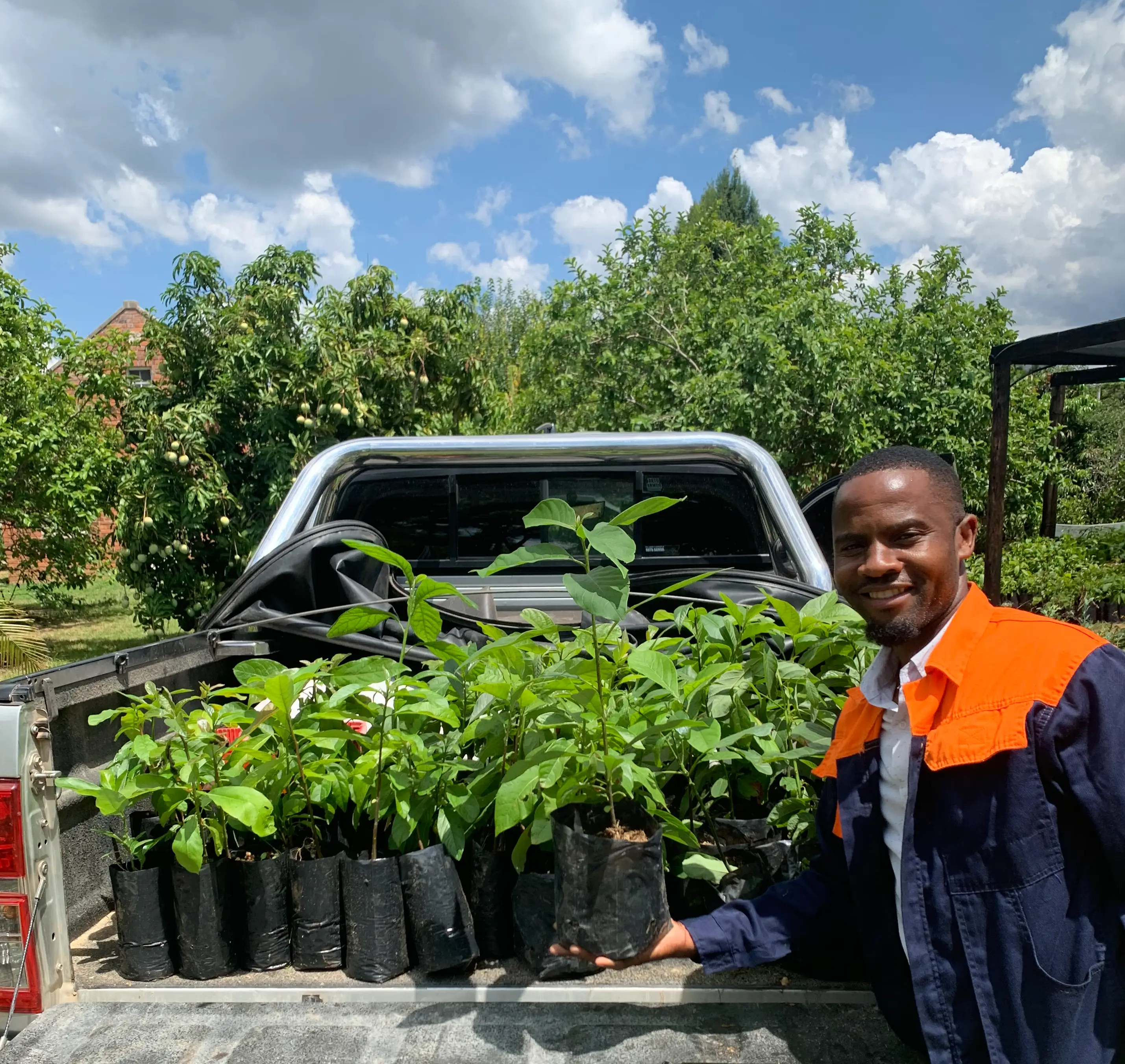 Volunteer with truck full of fruit tree saplings ready for distribution